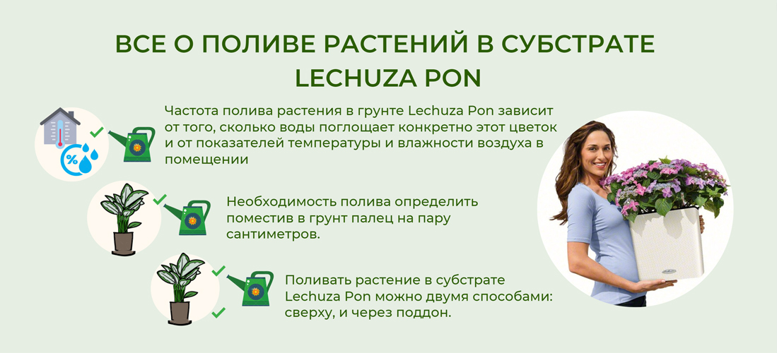 Все о поливе растений в субстрате Lechuza Pon