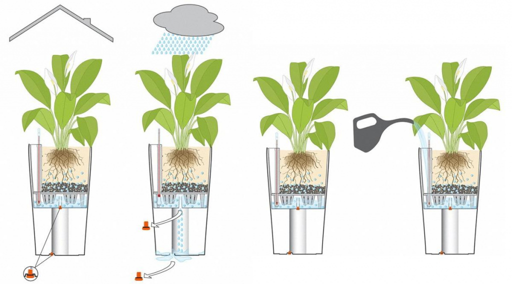 Все о поливе растений в субстрате Lechuza Pon