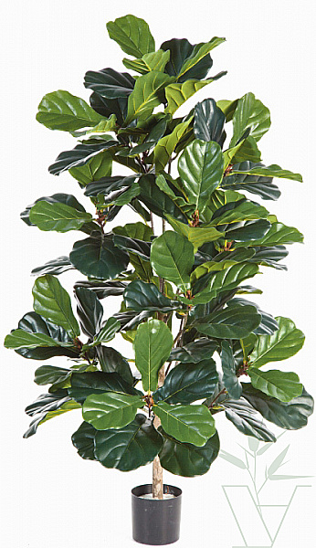 Искусственное растение Фикус Лирата, высота - 130 см
