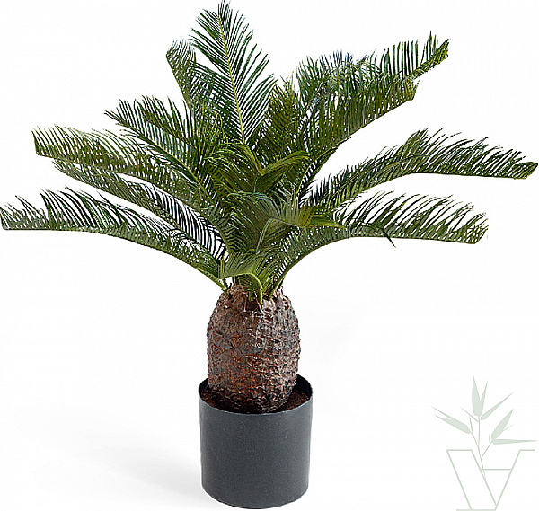 Искусственное растение Пальма Цикас, высота - 70 см