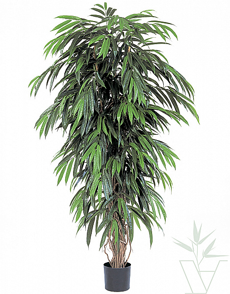 Искусственное растение  Лонгифолия Лиана де Люкс, высота - 180 см