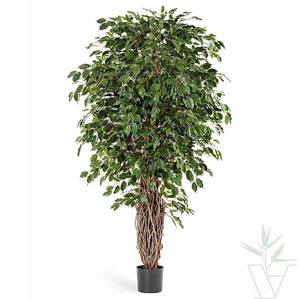 Искусственное растение  Фикус Бенджамина Лиана де Люкс, высота - 150 см