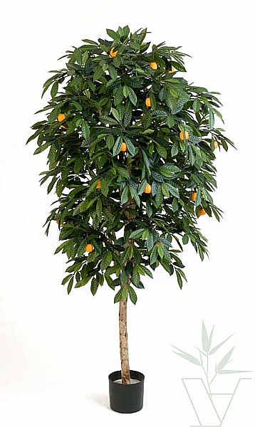 Искусственное растение Мандарин, высота - 170 см