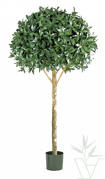 Искусственное растение Лавр Шар Максима, высота - 170 см