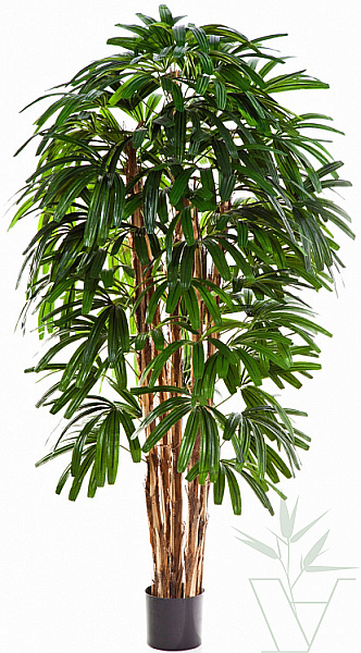 Искусственное растение Рапис пальма широколистная, высота - 150 см