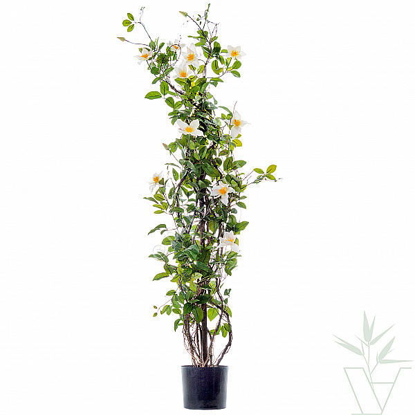 Искусственное растение Клематис, высота - 150 см