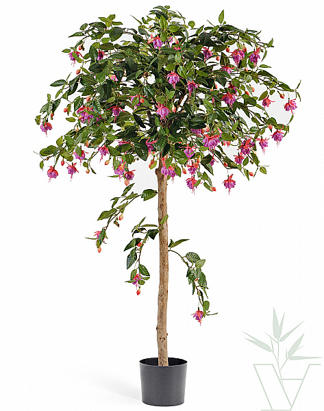 Искусственное растение Фуксия зонтичная, высота - 140 см