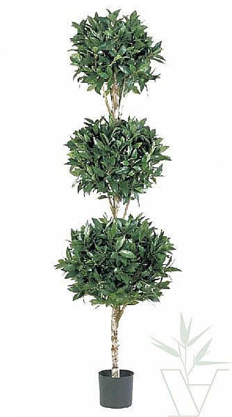 Искусственное растение Лавр шар тройной, высота - 180 см