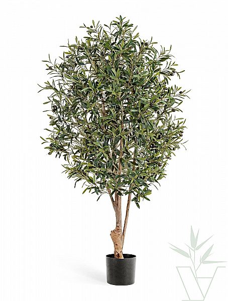 Искусственное растение Олива Твист, высота - 140 см