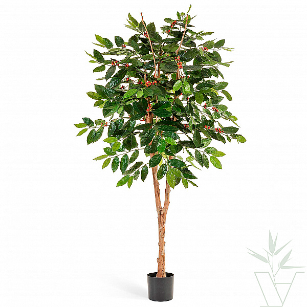 Искусственное растение Кофейное дерево с плодами, высота - 180 см