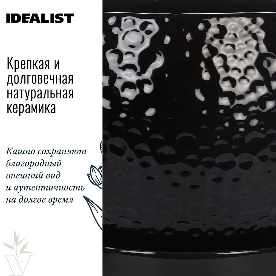 Купить комнатные растения Хамедорея в кашпо IDEALIST на ножках, общая  высота – 45 см в магазине ARTPLANTS с доставкой по Москве