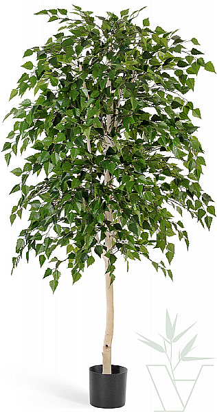 Искусственное растение Береза, высота - 140 см