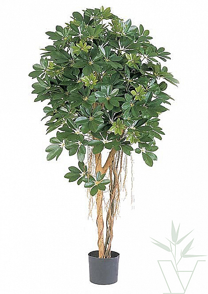 Искусственное растение Шеффлера зонтичная, высота - 110 см
