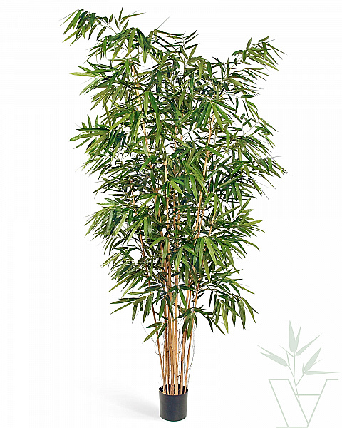 Искусственное растение Бамбук Новый Японский, высота - 230 см