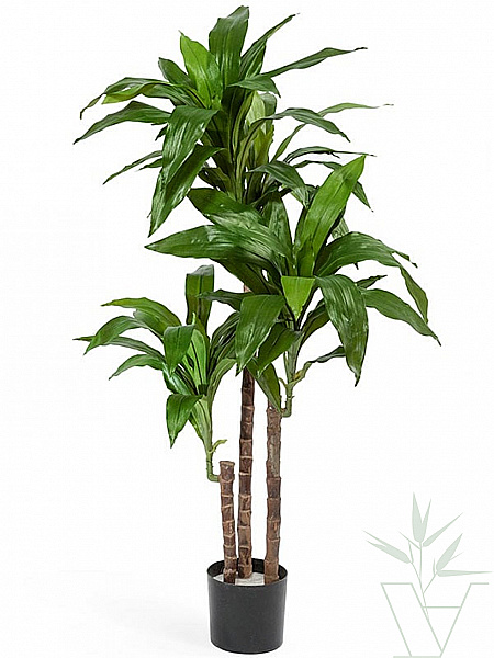 Искусственное растение Драцена Джанет Крейг, высота - 100 см