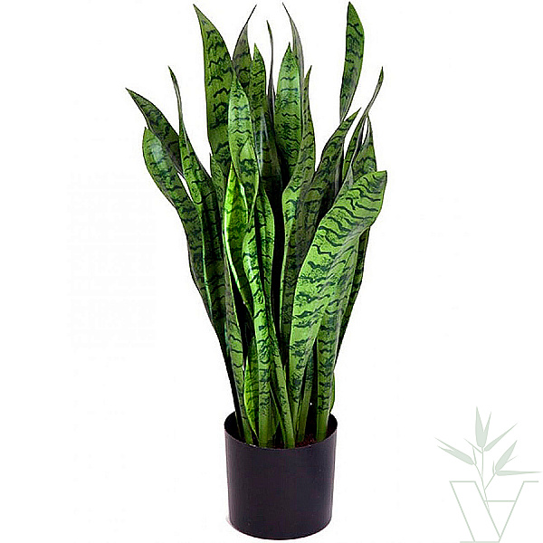Искусственное растение Сансевиерия куст зеленая, высота - 80 см