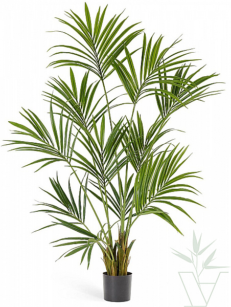 Искусственное растение Пальма Кентия Ховея, высота - 170 см