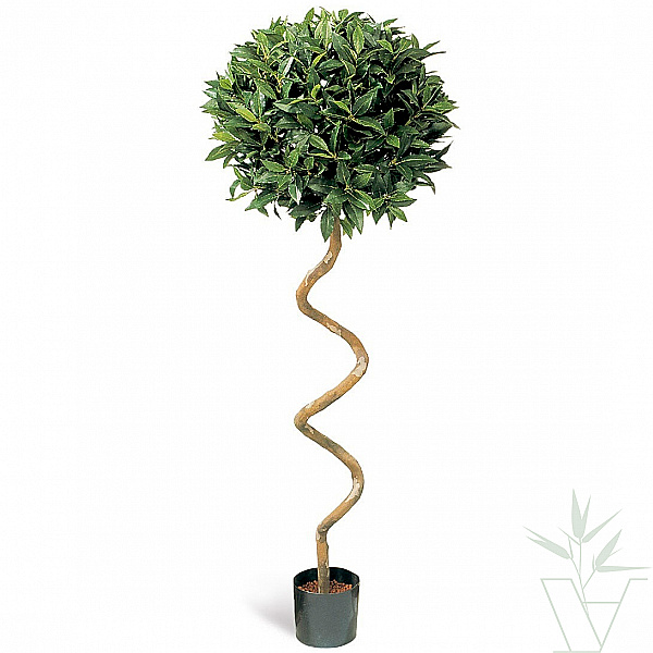Искусственное растение Лавр шар спираль, высота - 150 см