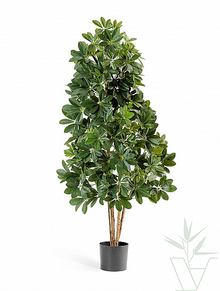 Искусственное растение Шеффлера, высота - 110 см