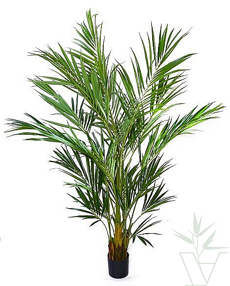 Искусственное растение Пальма Кентия Ховея, высота - 225 см