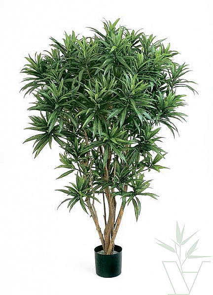 Искусственное растение Драцена Рефлекса Ямайка, высота - 145 см
