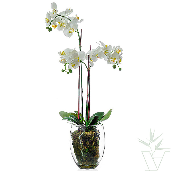 Искусственное растение Орхидея Фаленопсис  белая, высота - 85 см