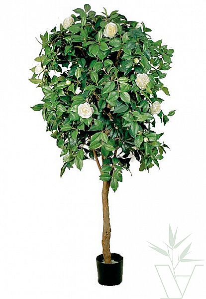 Искусственное растение Камелия Вайн, высота - 170 см