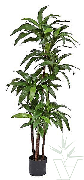 Искусственное растение Драцена Джанет Крейг, высота - 150 см