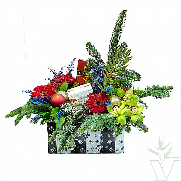 Новогодний подарок с живыми растениями и Raffaello