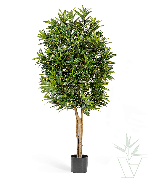Искусственное растение Кротон Голдфингер, высота - 155 см