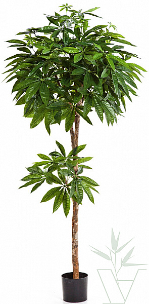 Искусственное растение Пахира, высота - 150 см