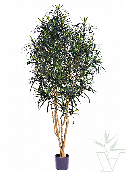 Искусственное растение Драцена Анита, высота - 150 см