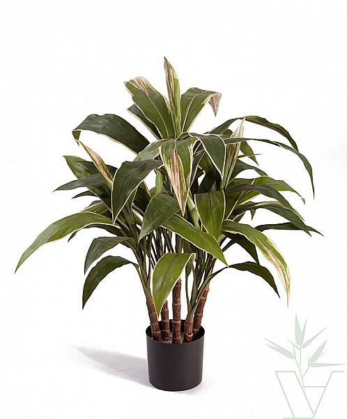 Искусственное растение Кордилина, высота - 73 см