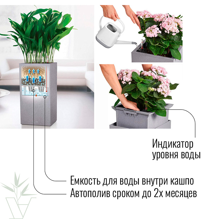 Купить Замиокулькас в кашпо с автополивом LECHUZA, общая высота